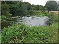 The River Wylye at Stapleford in SP2 0PD