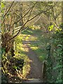 Footpath at Blisland in PL30 4JF