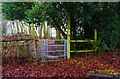 Kissing gate on the North Worcestershire Path, near Wythall, Worcs in B47 6LD