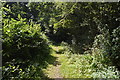Tandridge Border Path in RH7 6NJ
