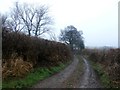 Public Footpath and Farm Track Near Ardsley in S71 5DT