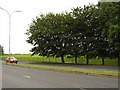 Cardonald Park from Shieldhall Road in G51 4GA