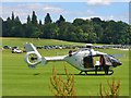 Cowdray Park - That's the Way to Travel in GU29 9AG