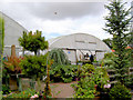 Plants of Special Interest (PSI) garden centre. in S66 7AJ