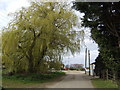 Approach to Church Farm, Foulden in IP26 5AD