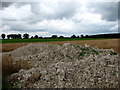 Farmland near Tops Hill Farm in Thorpe Market
