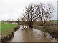 River Axe at Broom Bridge in EX13 7AR
