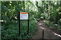 Path into Brown's Folly Nature Reserve in BA1 7SA