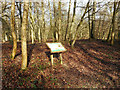 Warren Wood Earthwork, Visitor Board in Flackwell Heath, Little Marlow and Marlow South East Ward