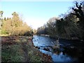 River Derwent at Panshield Hags in DH8 0TE