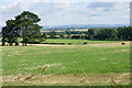 Fields below Monkton Farleigh in BA15 2QN