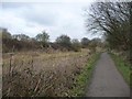 Former towpath, Elsecar Branch, Dearne & Dove Canal in S73 0NX