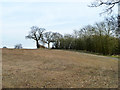 Brown field and small wood in Chigwell with Lambourne Ward