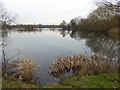 Lake in Roding Valley Meadows Local Nature Reserve in IG10 3DG