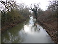 The London LOOP crosses the River Roding in IG10 3DG