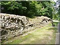 Verulamium - City Wall Remains in AL3 4GB