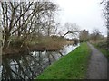 Elsecar Branch, Dearne & Dove Canal in S73 0PZ
