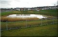 SUDS pond, Darnley Mains in G53 7HL
