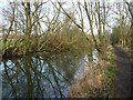 Reflected trees, Elsecar branch, Dearne & Dove Canal in S73 0PF