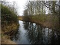 The Dearne & Dove Canal, west of Junction Bridge in S73 0SQ