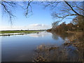 The River Derwent in flood at Bubwith in YO8 6LN