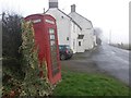 Shepeau Stow: an ivy-clad phone box in PE12 0FB