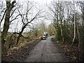 Cycling with dogs, Trans Pennine Trail in S73 0SQ