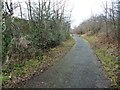 Elsecar Greenway, looking west in S73 0SQ