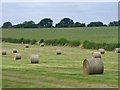 Ellesborough - Hay Bales in HP17 0UB