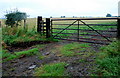 Gateway to grazing land in Snitter