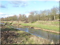 River Roding and Roding Valley Park in IG8 7JA