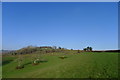 The Wessex Ridgeway path climbing towards Coney's Castle in DT6 6NL