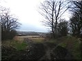 Muddy Tracks off Shaw Lane, Northfield in S72 8FG