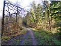 Public footpath in Ampfield Wood in Ampfield & Braishfield Ward