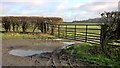 Gateway to field on lane to Tythby in Tithby