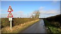 Road to Tythby in Tithby