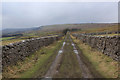 Byway below Ellerkin Scar in DL8 3JB