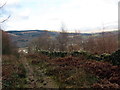 Uwchben y Creunant / Above Crynant in SA10 8BJ