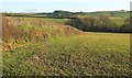 Valley below Chittlehampton in EX37 9PY