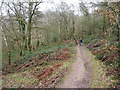 Footpath north of Nanny's Rock in DY11 5SB