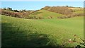 Fields above the coast path in TQ12 4QN