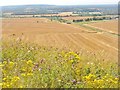 Ivinghoe from the Beacon in Ivinghoe