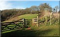Footpath above Commons Plantation in TQ12 4QN