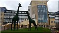 Entrance to the Royal Aberdeen Children's Hospital in AB15 6TP