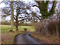 Privet Lane in SP11 9AW