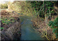 Tuckingmill or Pennyhooks Brook in Shrivenham and Watchfield