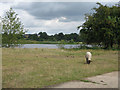 Sheep may safely graze beside the lakes of the Wensum in NR9 5PX