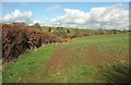 Field boundary east of George Nympton in EX36 4JF