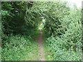 Public Footpath, Thorpe Audlin in WF9 1AB