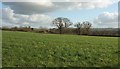 Towards Honiton Barton in EX36 4HX